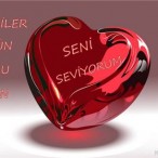 turk hava yollari happy valentin