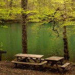 Yedigoller Bolu ggezileri